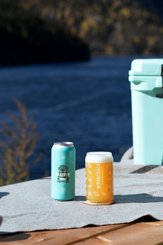 Verre canette (CanGlass) 16oz